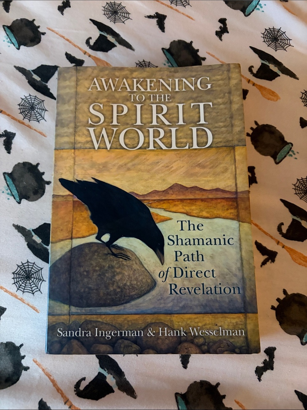 Awakening to the Spirit World — The Shamanic Path (Book)